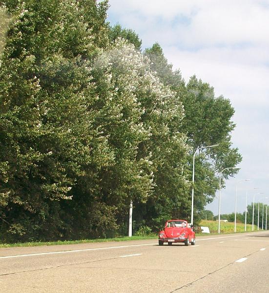 Halfoogstrit op 16-8-2009, vertrek en aankomst aan het prachtige Sint-Jansbergcomplex te Zelem-Halen (11).JPG